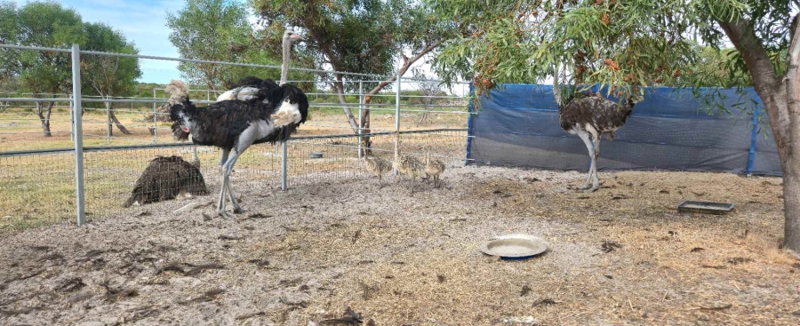 0 Bedroom Property for Sale in Franskraal Western Cape